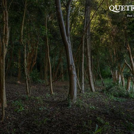Quetrihue Bed & Breakfast ปูแอร์โตบารัส ภายนอก รูปภาพ