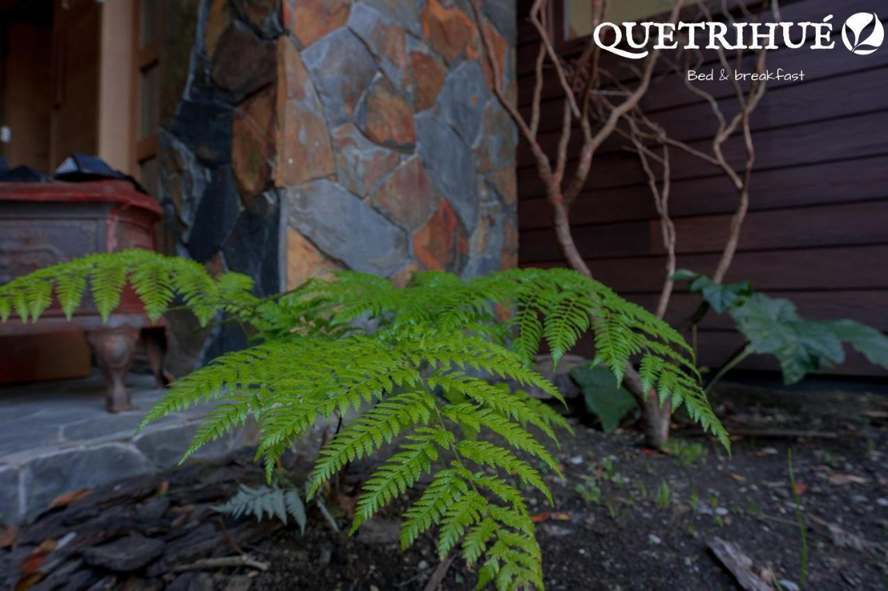 Quetrihue Bed & Breakfast ปูแอร์โตบารัส ภายนอก รูปภาพ