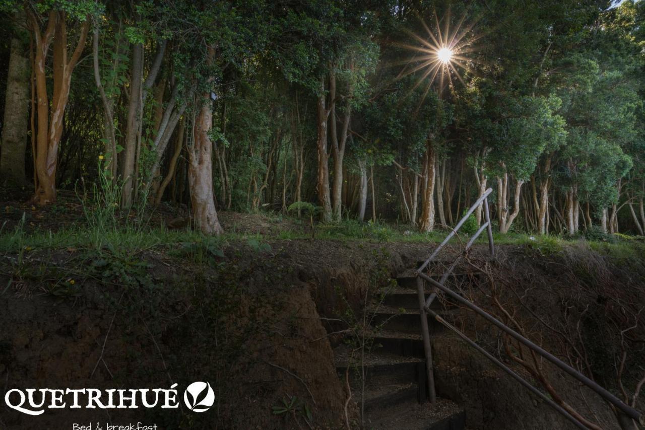 Quetrihue Bed & Breakfast ปูแอร์โตบารัส ภายนอก รูปภาพ