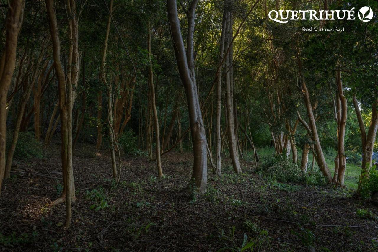 Quetrihue Bed & Breakfast ปูแอร์โตบารัส ภายนอก รูปภาพ